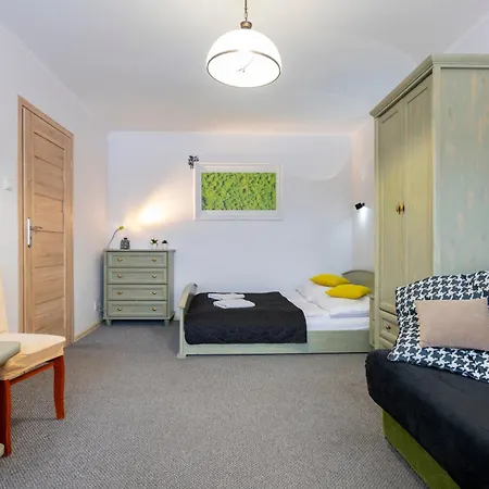 Apartment Nad Kamienczykiem Iv *